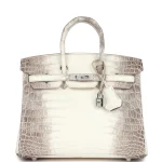 Best Replica Hermes - Birkin 25 Blanc Himalayan Palladium HW