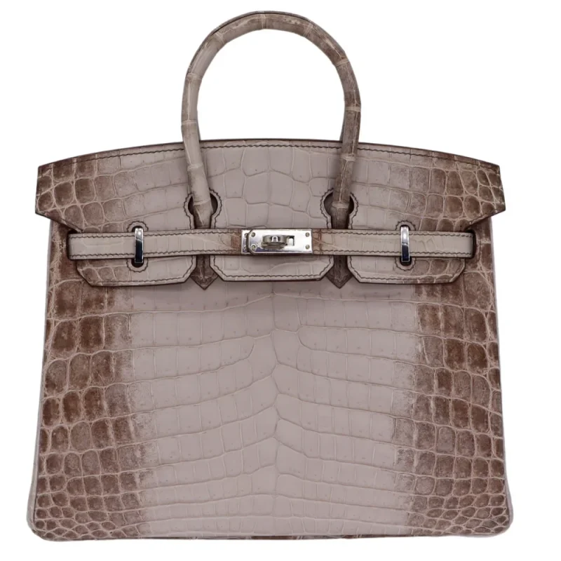 Best Replica Hermes - Birkin 25 Gris Cendre Matte Crocodile