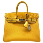 Hermès Birkin 25 Touch Replica | Mirror Quality Bags