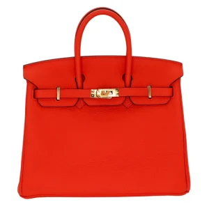High-End Hermès Inspired - Birkin 25 Feu Togo Gold HW