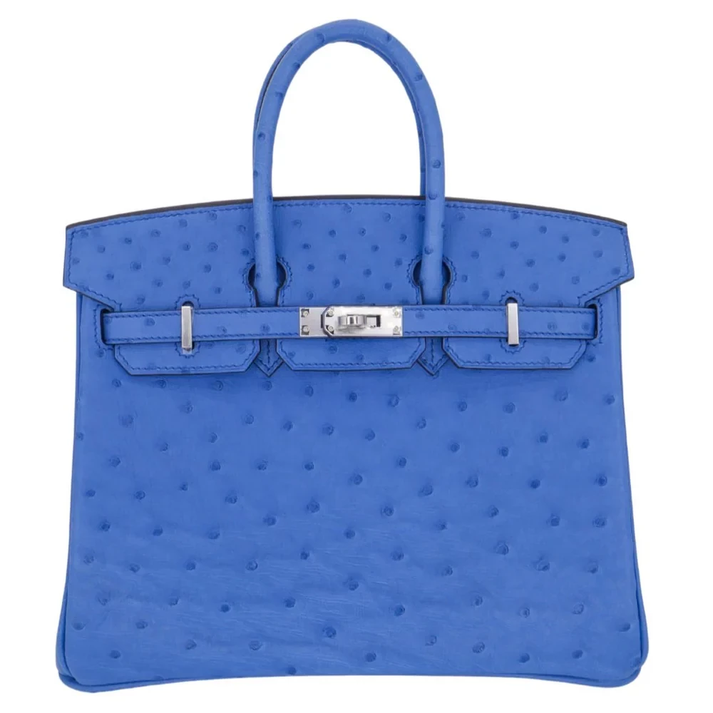 Mirror Quality Hermès Replicas - Birkin 25 Mykonos Ostrich Palladium HW
